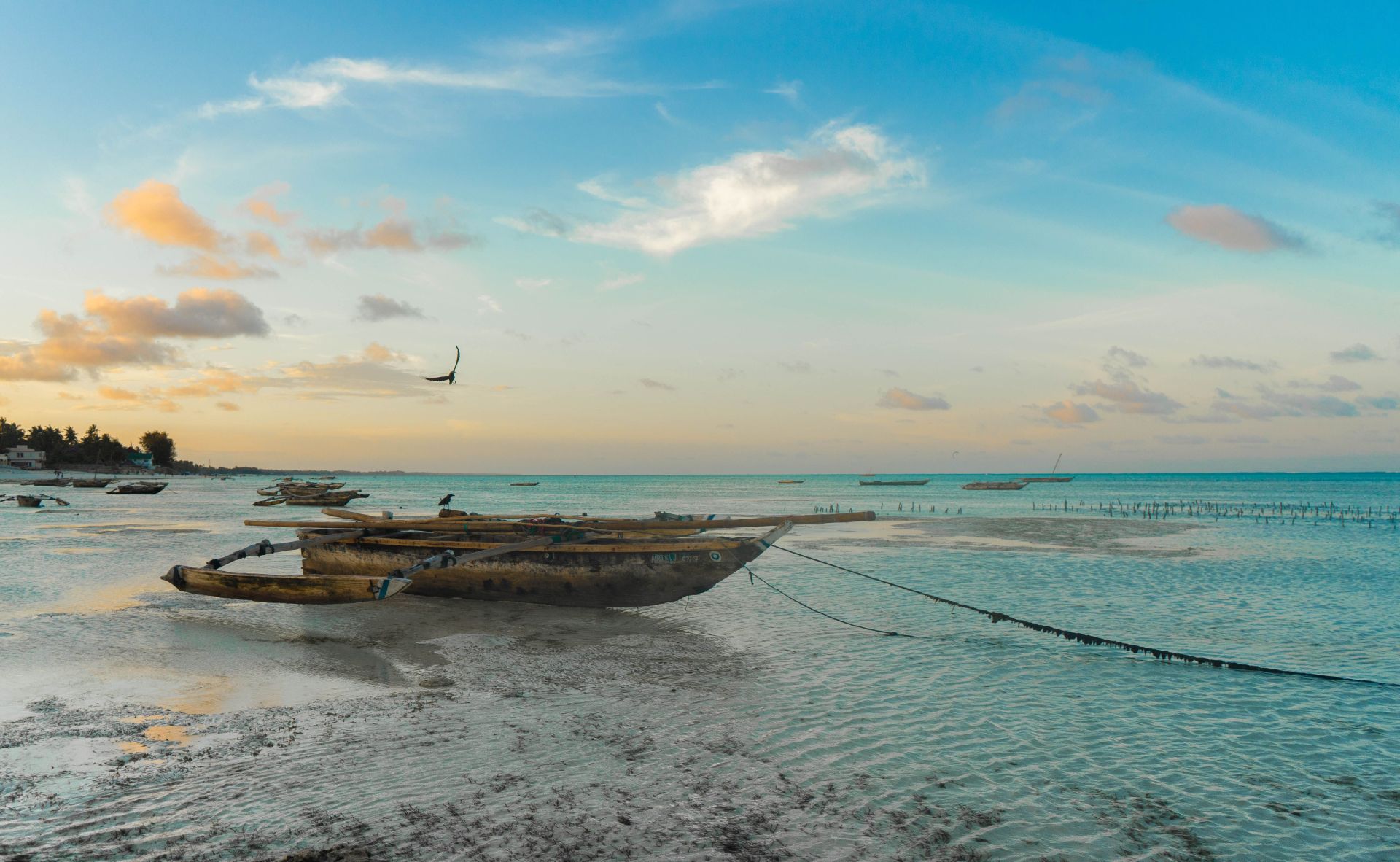 ile-sie-leci-na-zanzibar